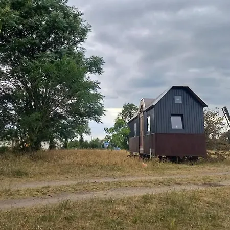Kajas Schaeferwagen An Der Bockwindmuehle Beelitz